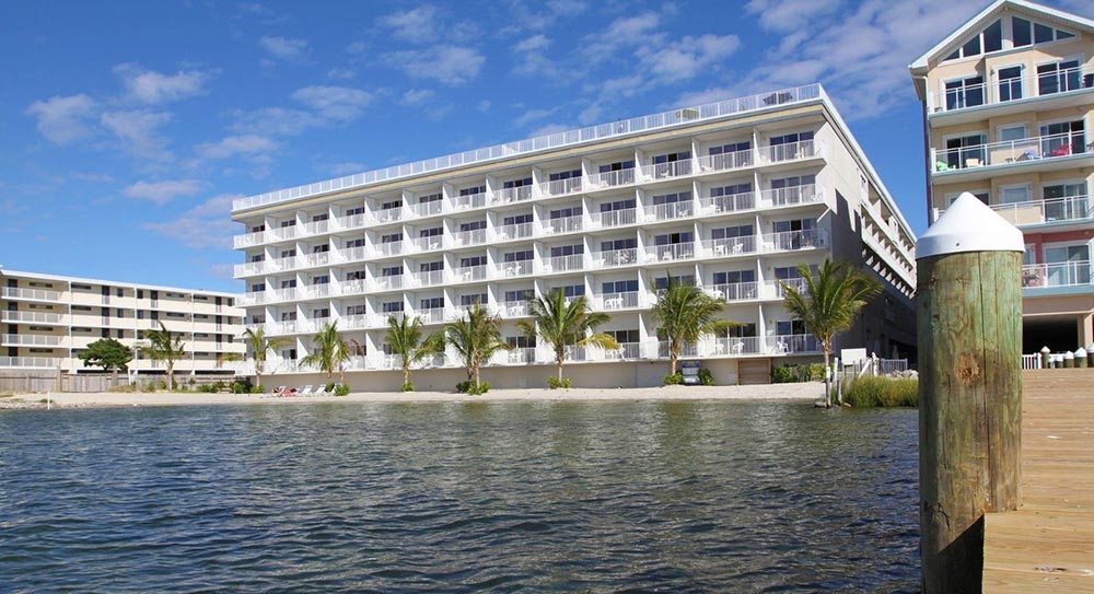 A picture of buildings taken from the dock